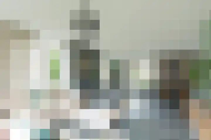 Zeisum 5 Hooglanderveen thumbnail 22