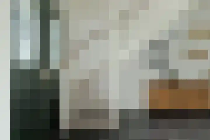 Zeisum 5 Hooglanderveen thumbnail 27