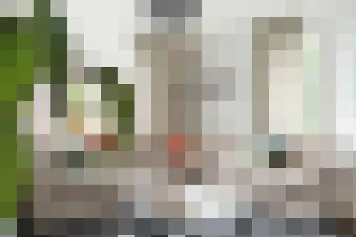 Zeisum 5 Hooglanderveen foto 3