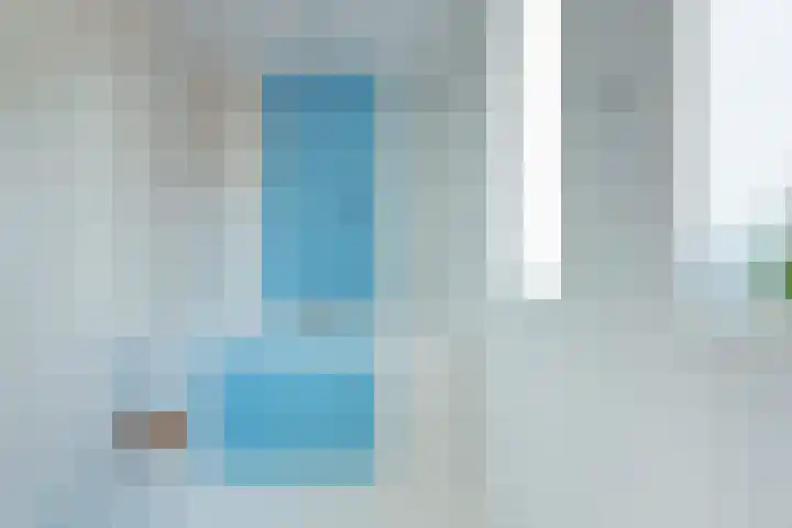 Zeisum 5 Hooglanderveen thumbnail 39