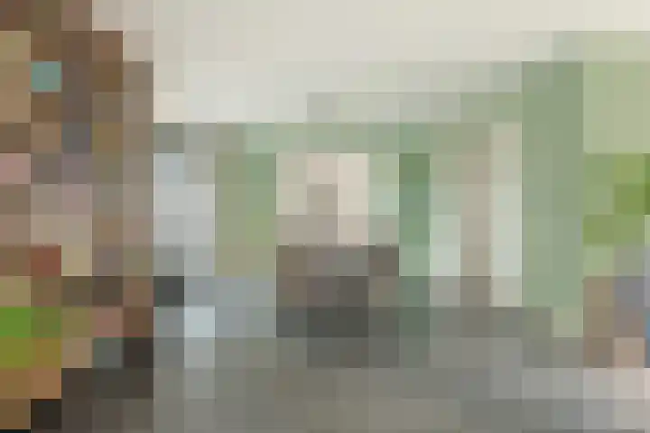 Zeisum 5 Hooglanderveen thumbnail 4