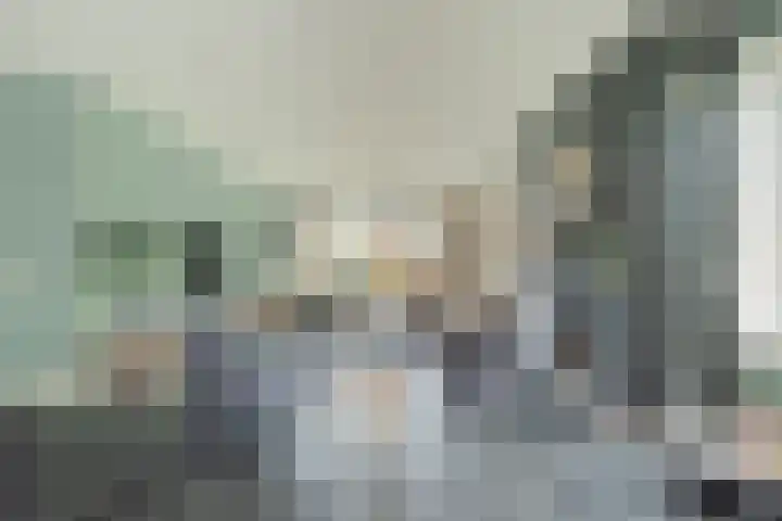 Zeisum 5 Hooglanderveen thumbnail 5