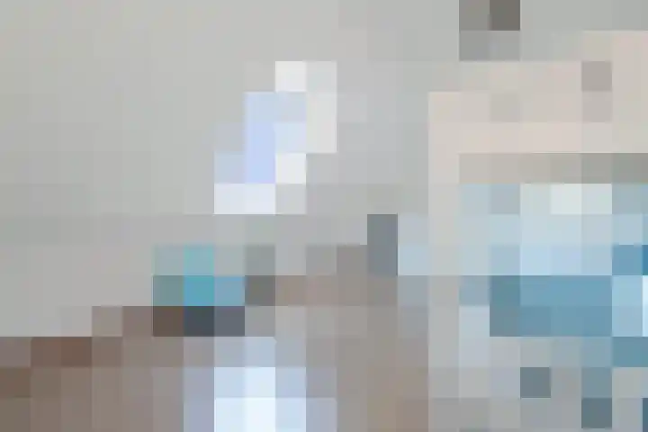 Zeisum 5 Hooglanderveen thumbnail 50