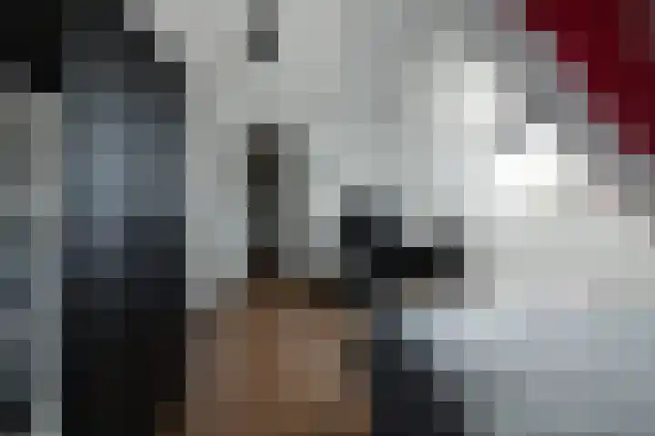 Zeisum 5 Hooglanderveen thumbnail 55