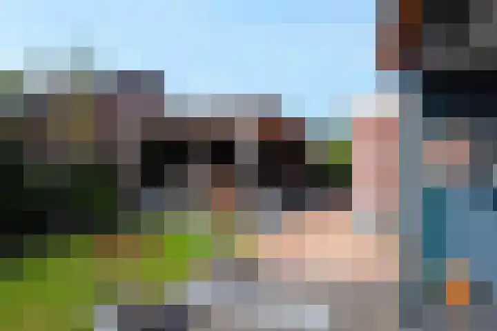 Zeisum 5 Hooglanderveen thumbnail 59