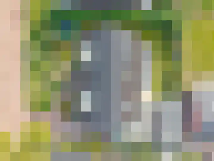 Zeisum 5 Hooglanderveen thumbnail 61