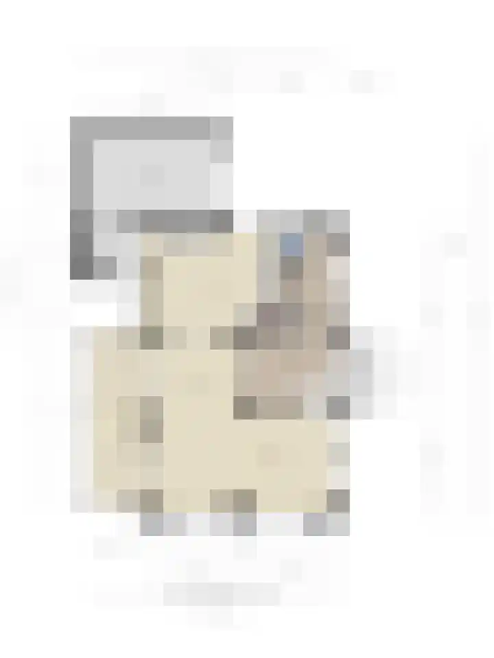 Zeisum 5 Hooglanderveen thumbnail 63
