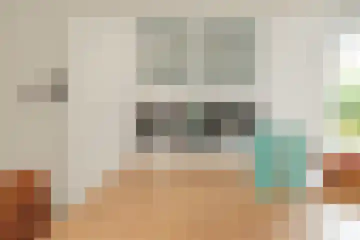 Zeisum 5 Hooglanderveen thumbnail 8