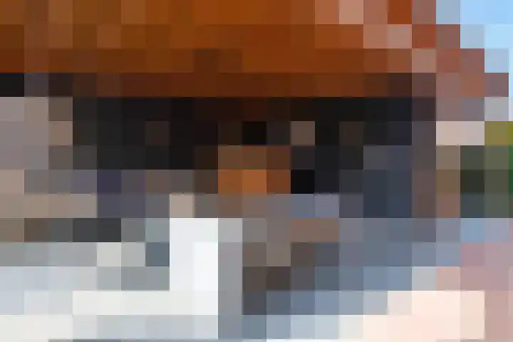 Zeisum 5 Hooglanderveen thumbnail 9
