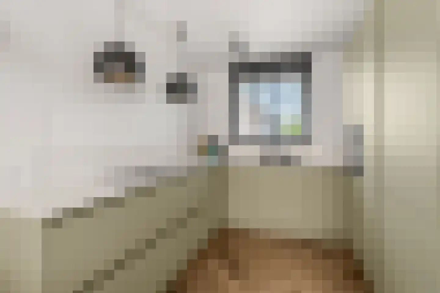 Zeisveld 28 Houten thumbnail 7