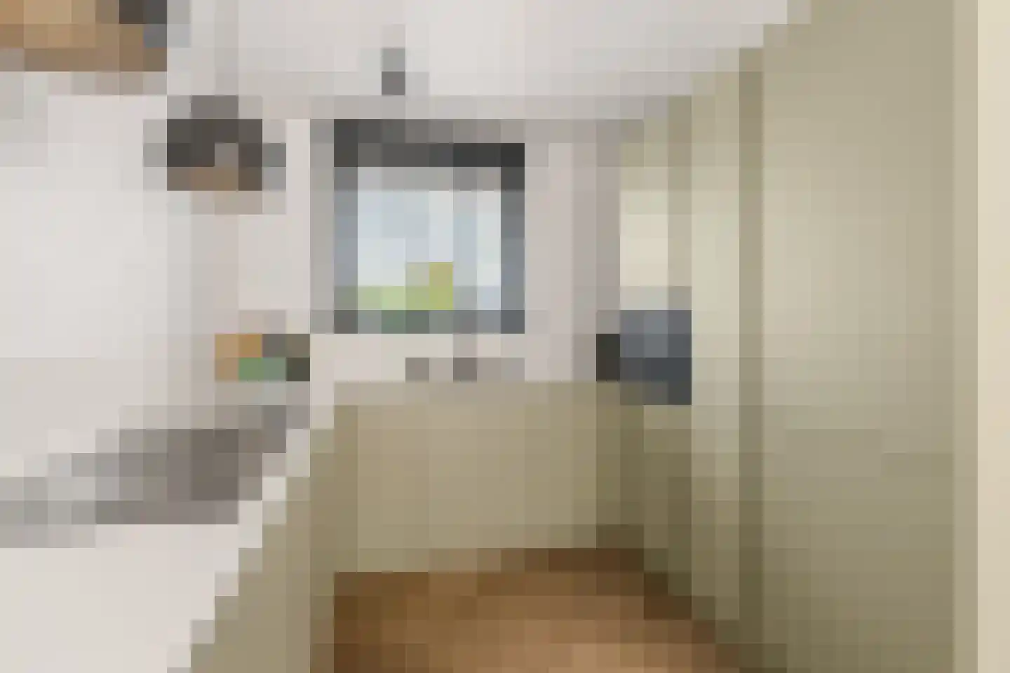 Zeisveld 28 Houten thumbnail 8
