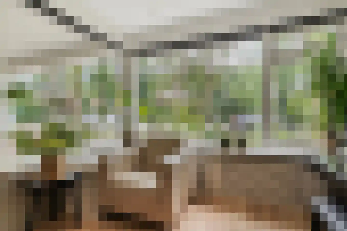 Zeisweg 16 Zwolle thumbnail 12