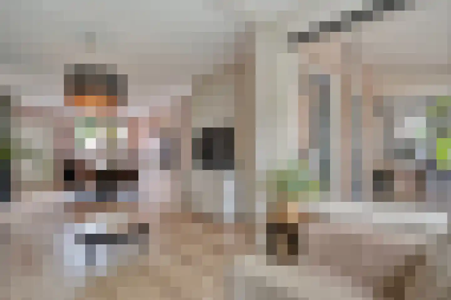 Zeisweg 16 Zwolle thumbnail 13