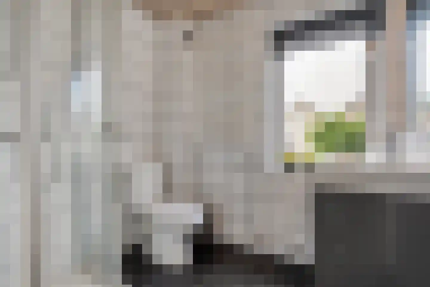 Zeisweg 16 Zwolle thumbnail 25
