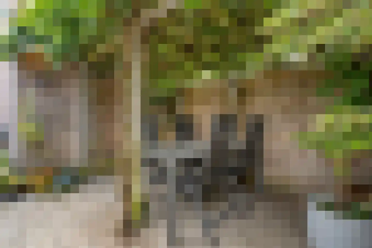 Zeisweg 16 Zwolle thumbnail 33