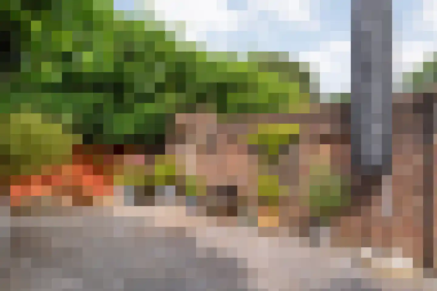 Zeisweg 16 Zwolle thumbnail 35