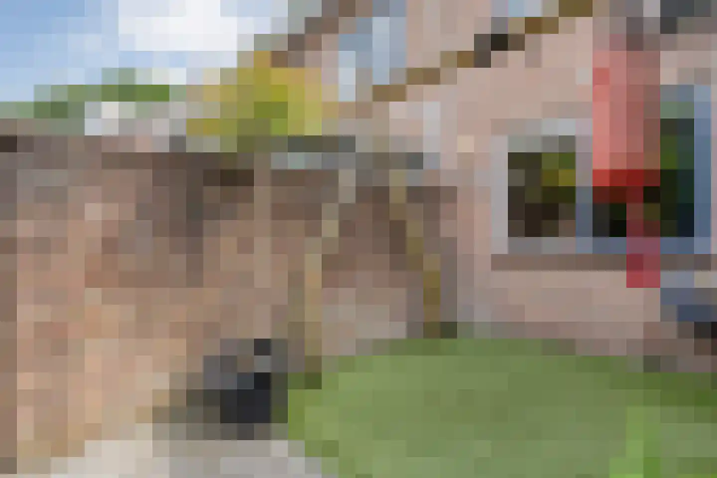Zeisweg 16 Zwolle thumbnail 36