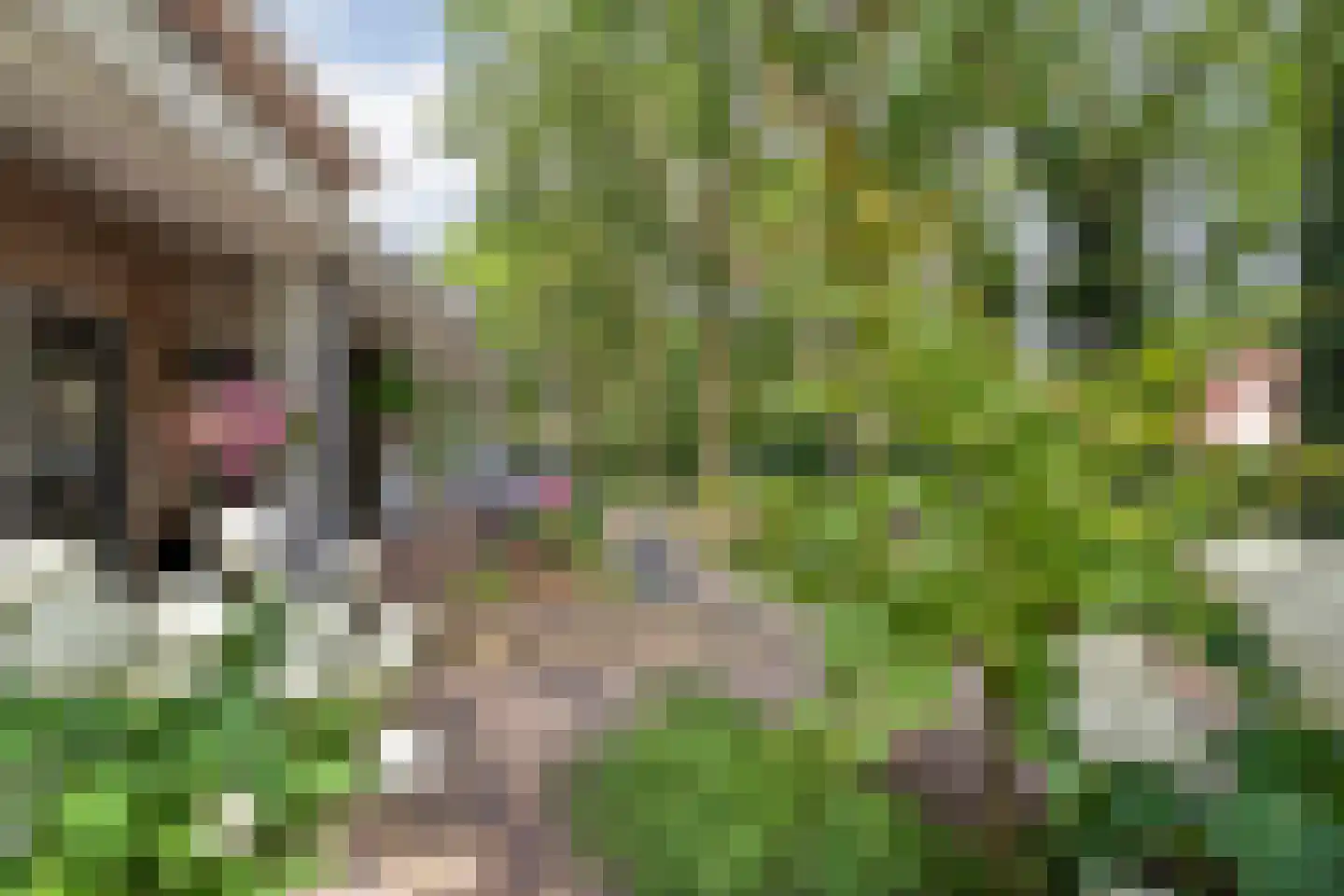 Zeisweg 16 Zwolle thumbnail 38
