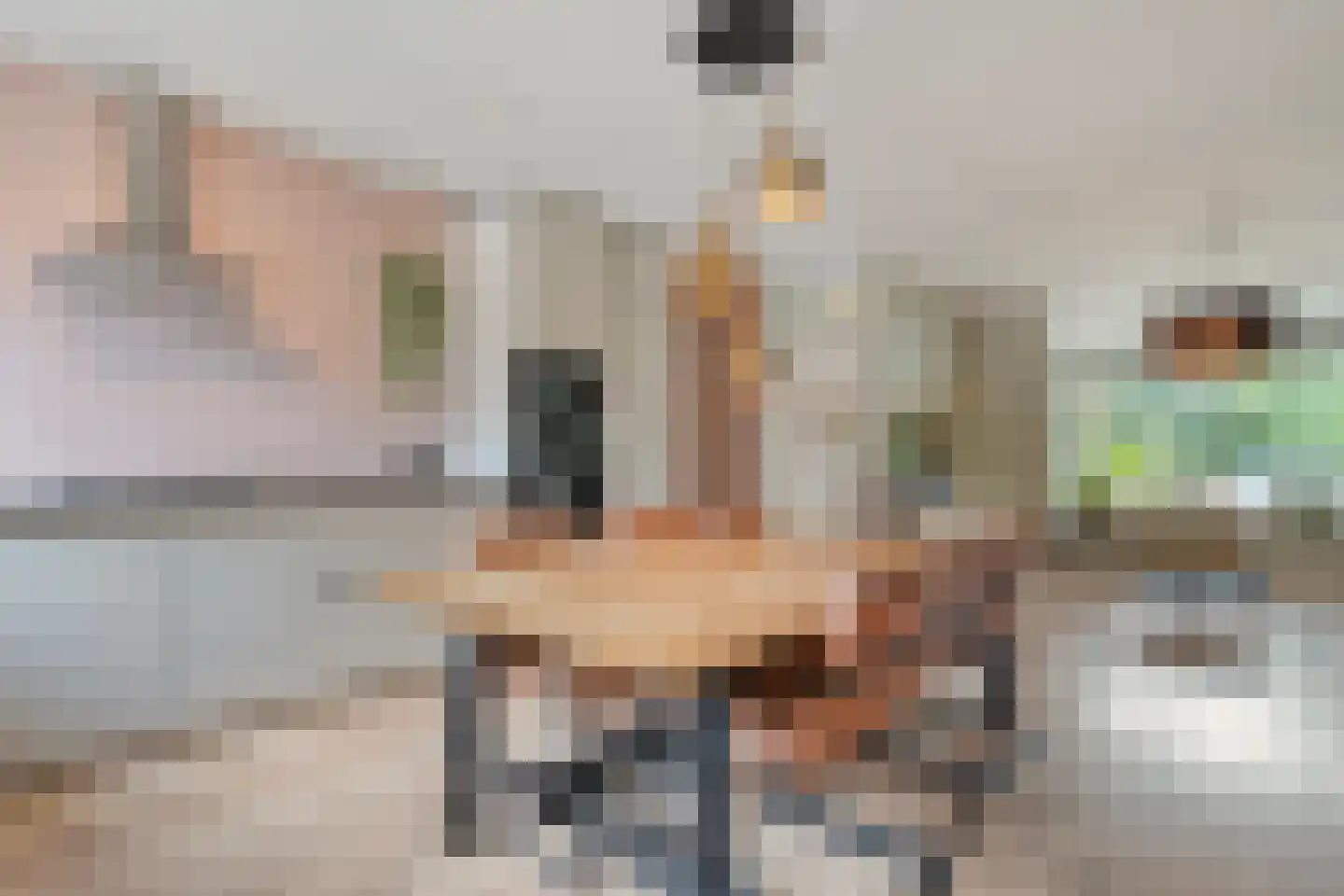 Zeisweg 16 Zwolle thumbnail 4