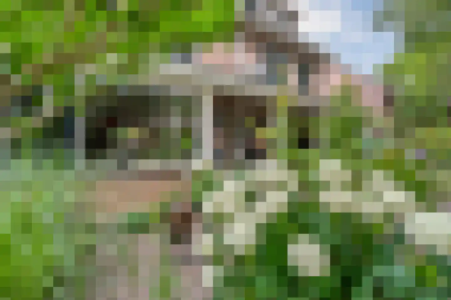 Zeisweg 16 Zwolle thumbnail 40