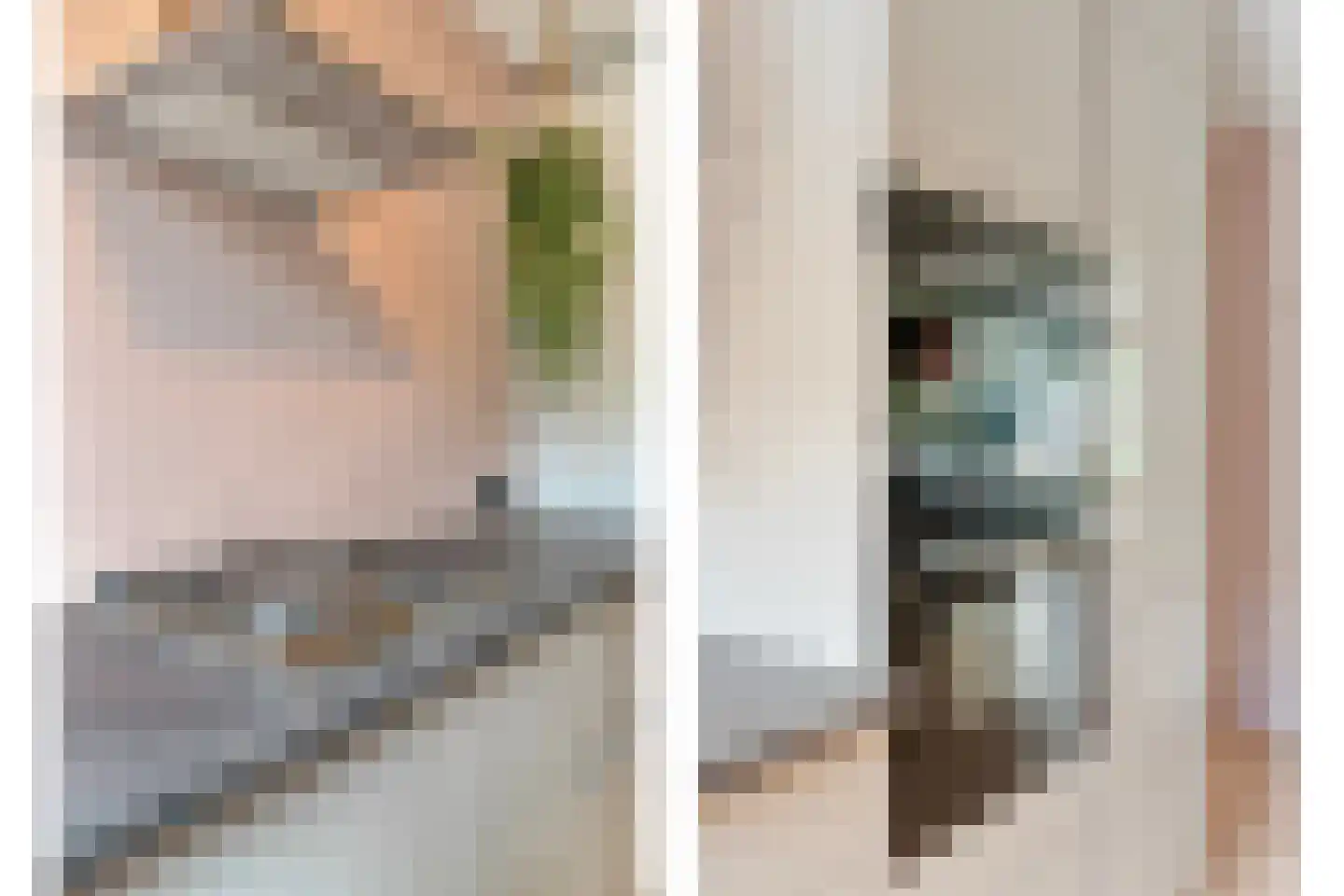 Zeisweg 16 Zwolle thumbnail 7
