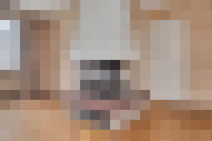 Zeisweg 26 Elspeet thumbnail 16