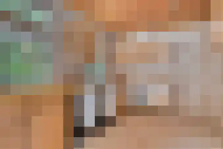 Zeisweg 26 Elspeet thumbnail 19
