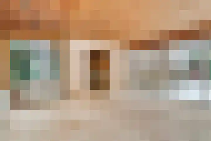 Zeisweg 26 Elspeet thumbnail 22