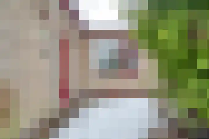 Zeisweg 26 Elspeet thumbnail 31