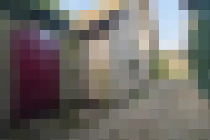 Zeisweg 26 Elspeet thumbnail 33