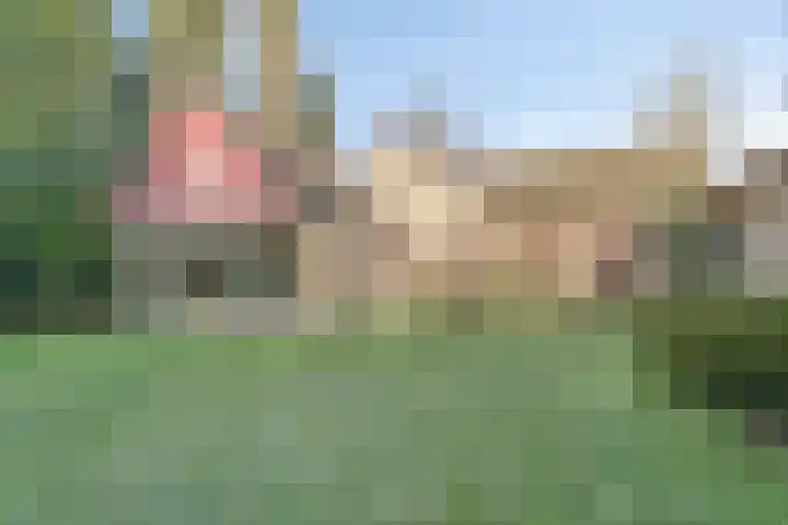 Zeisweg 26 Elspeet thumbnail 34