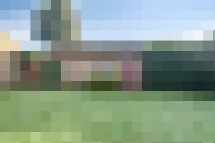 Zeisweg 26 Elspeet thumbnail 35