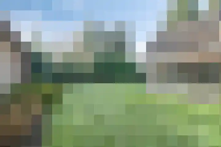 Zeisweg 26 Elspeet thumbnail 36