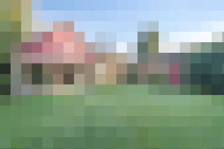 Zeisweg 26 Elspeet thumbnail 38