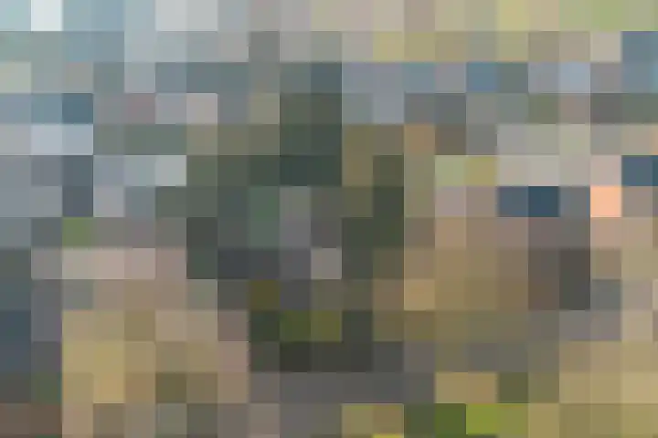 Zeisweg 26 Elspeet thumbnail 39