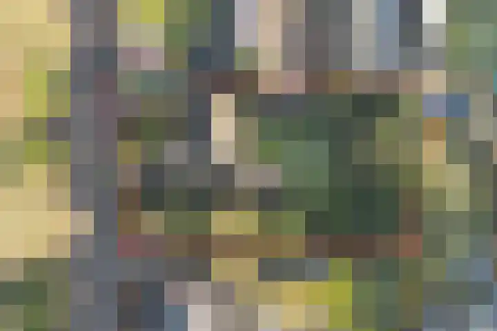 Zeisweg 26 Elspeet thumbnail 4