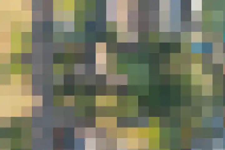 Zeisweg 26 Elspeet thumbnail 40