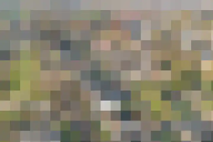 Zeisweg 26 Elspeet thumbnail 42