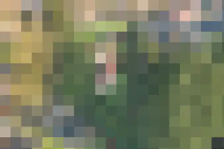 Zeisweg 26 Elspeet thumbnail 43
