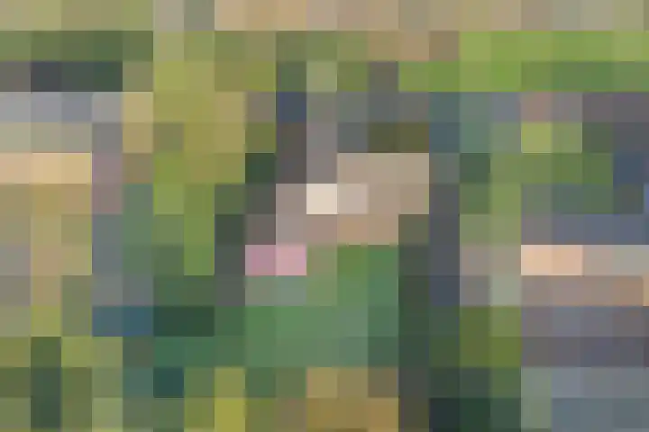 Zeisweg 26 Elspeet thumbnail 44