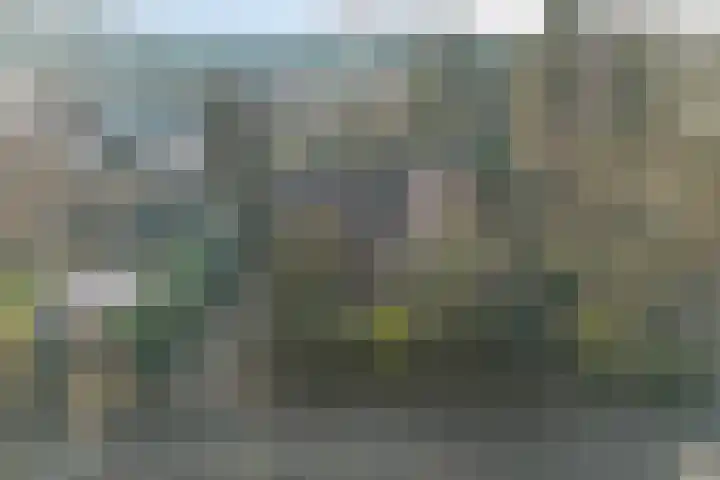 Zeisweg 26 Elspeet thumbnail 45