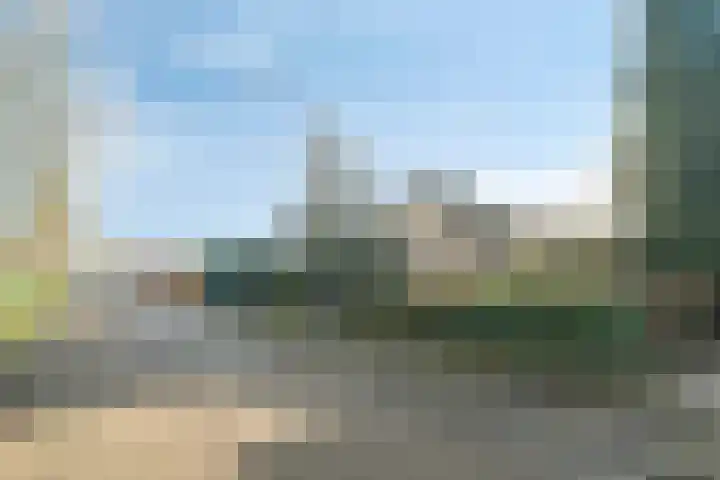 Zeisweg 26 Elspeet thumbnail 46