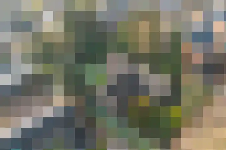 Zeisweg 26 Elspeet thumbnail 5