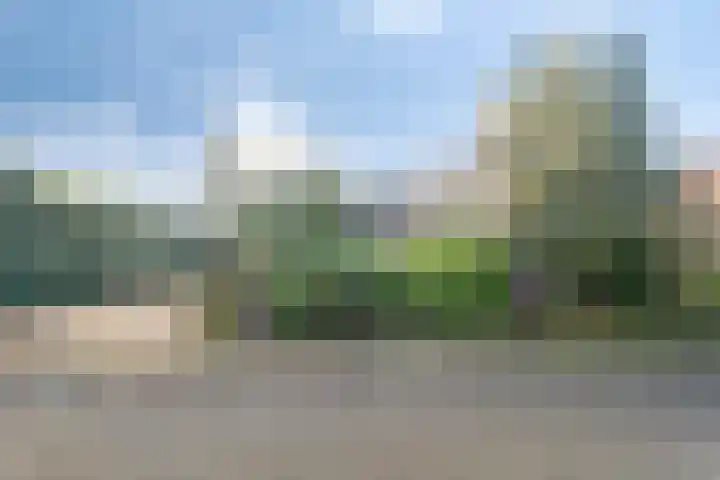 Zeisweg 26 Elspeet thumbnail 6