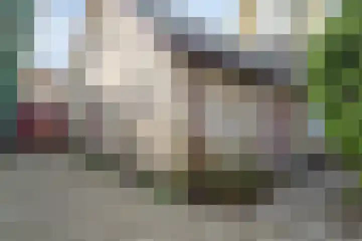 Zeisweg 26 Elspeet thumbnail 7