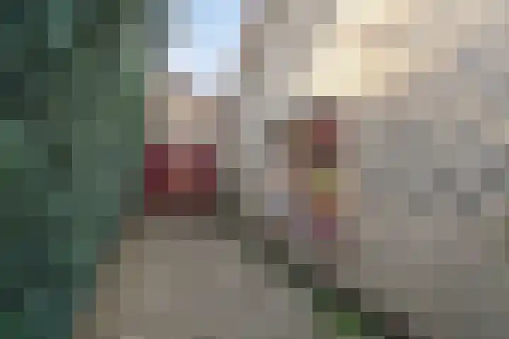 Zeisweg 26 Elspeet thumbnail 8