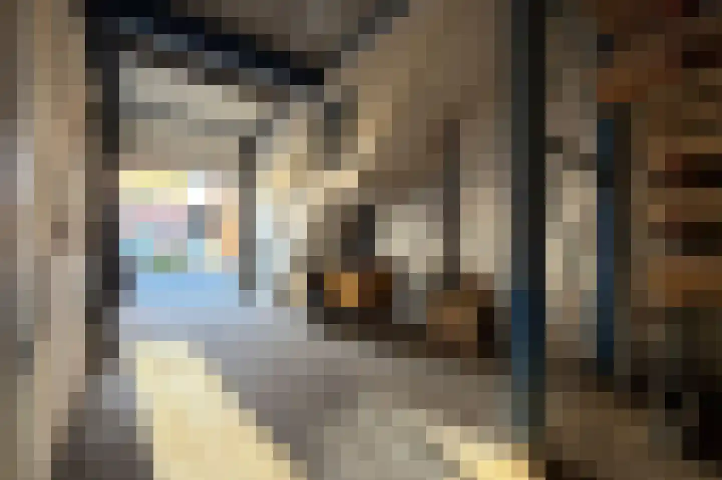 Zekkenstraat 56 Hoek van Holland thumbnail 5