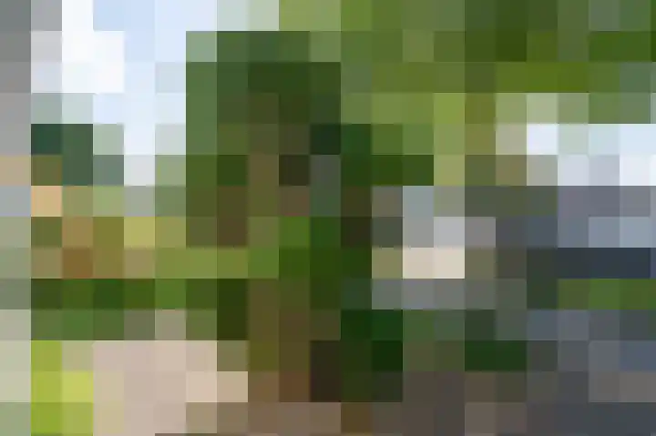Zekteweg 6 a Geesteren thumbnail 15
