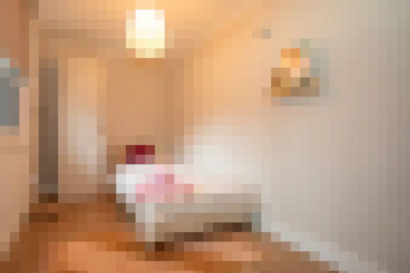 Zekteweg 6 a Geesteren thumbnail 15