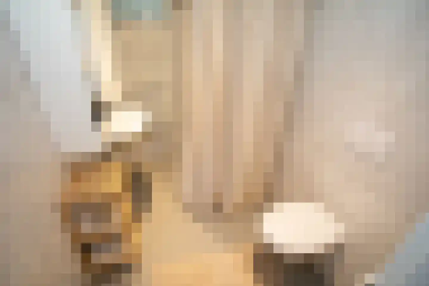 Zekteweg 6 a Geesteren thumbnail 17